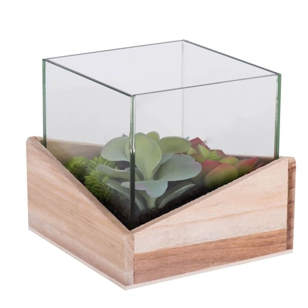 Dare2Decor 6 x 6 x 6 in. Assorted Succulents in Glass Wood Succulent Planter DA3253695